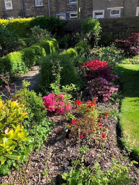 Looking at a border from the Meeting House path